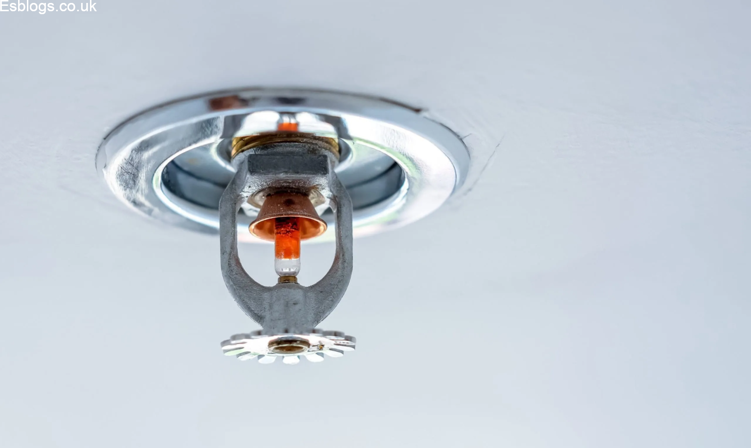 Why More Homeowners Are Choosing Domestic Fire Sprinklers for Better Family Safety