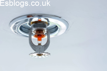 Why More Homeowners Are Choosing Domestic Fire Sprinklers for Better Family Safety