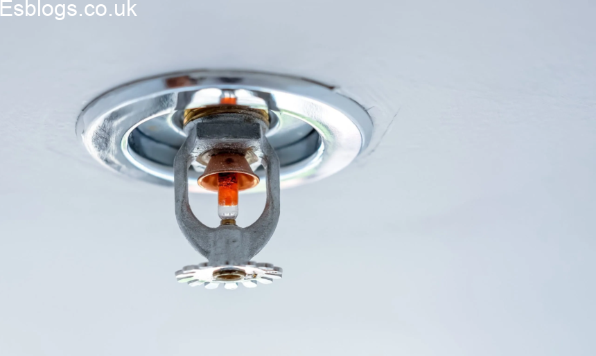 Why More Homeowners Are Choosing Domestic Fire Sprinklers for Better Family Safety